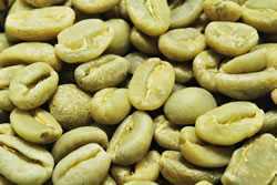 [1.] coffee raw legume echio Piaa iliga tea fG-1ko tea re natural premium free shipping 
