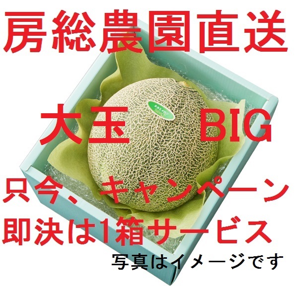 ②キャンペーン中！即決で1箱サービス！1円～甘くてジューシーな高品質の「タカミメロン」7月9日・土曜日終了_画像1