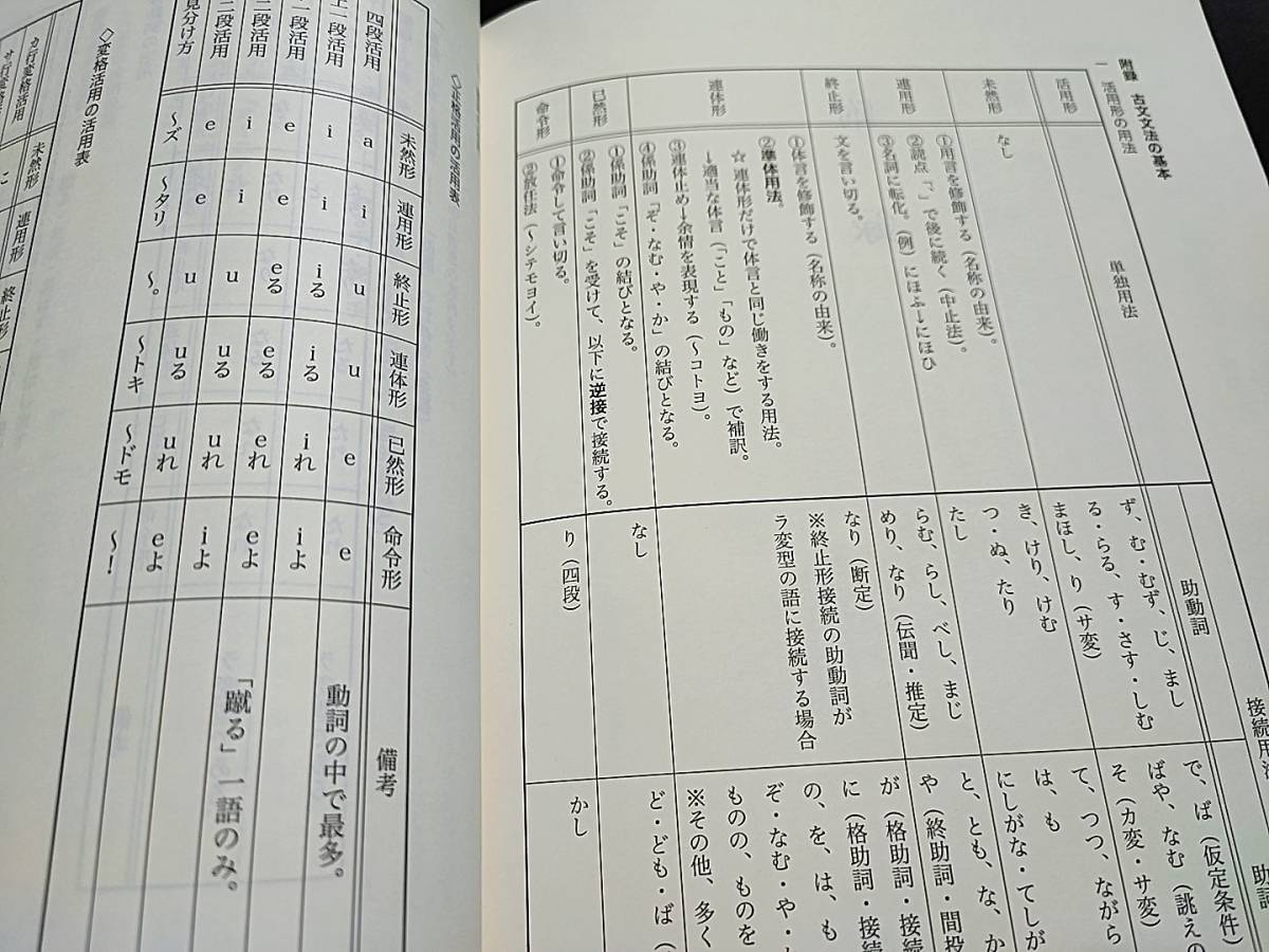 鉄緑会　東大古典問題集・解答編　ほぼ未使用　19年度　　河合塾　駿台　鉄緑会　Z会　東進