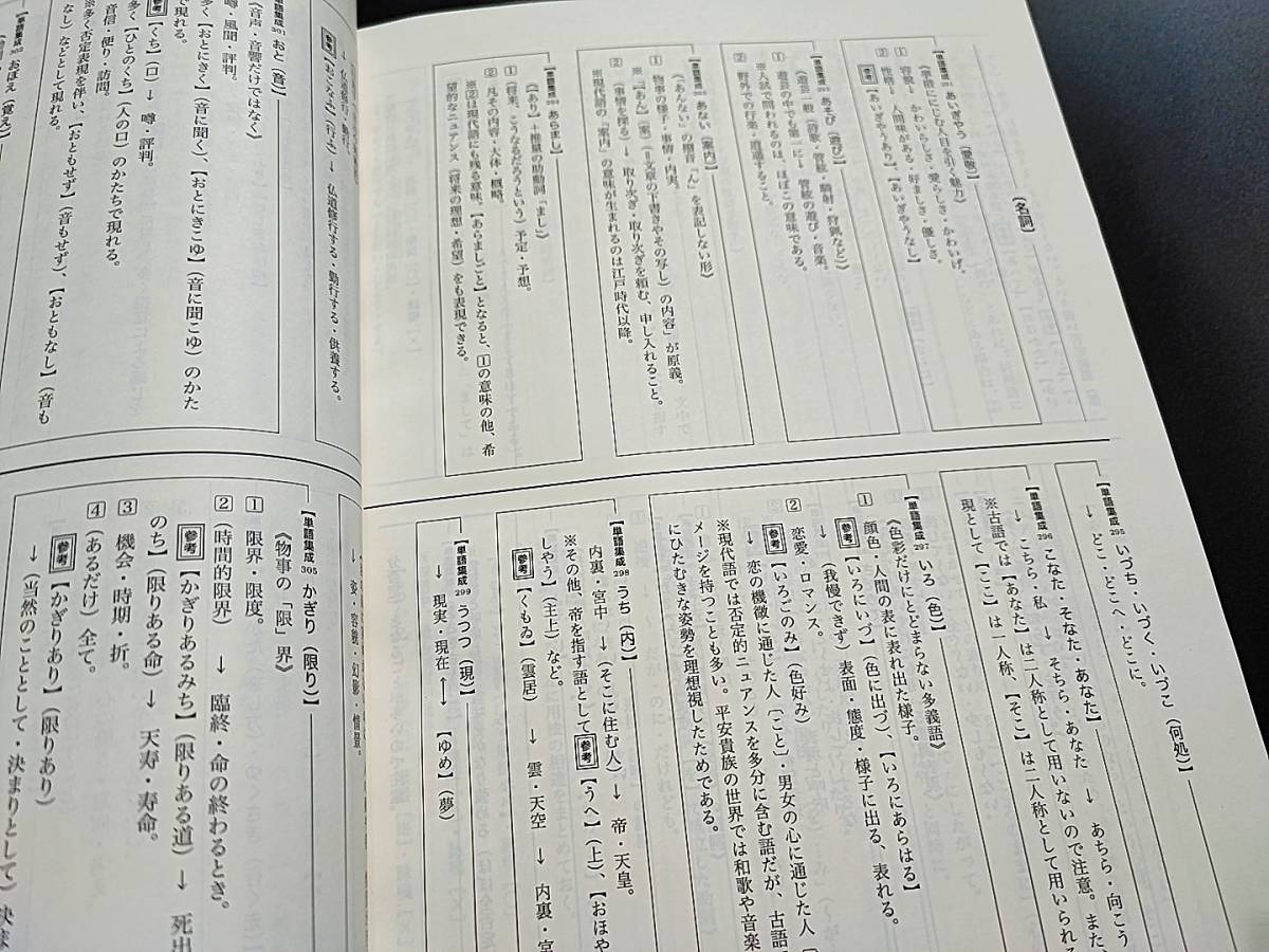 鉄緑会 東大古典問題集・解答編 ほぼ未使用 19年度 河合塾 駿台 鉄緑会