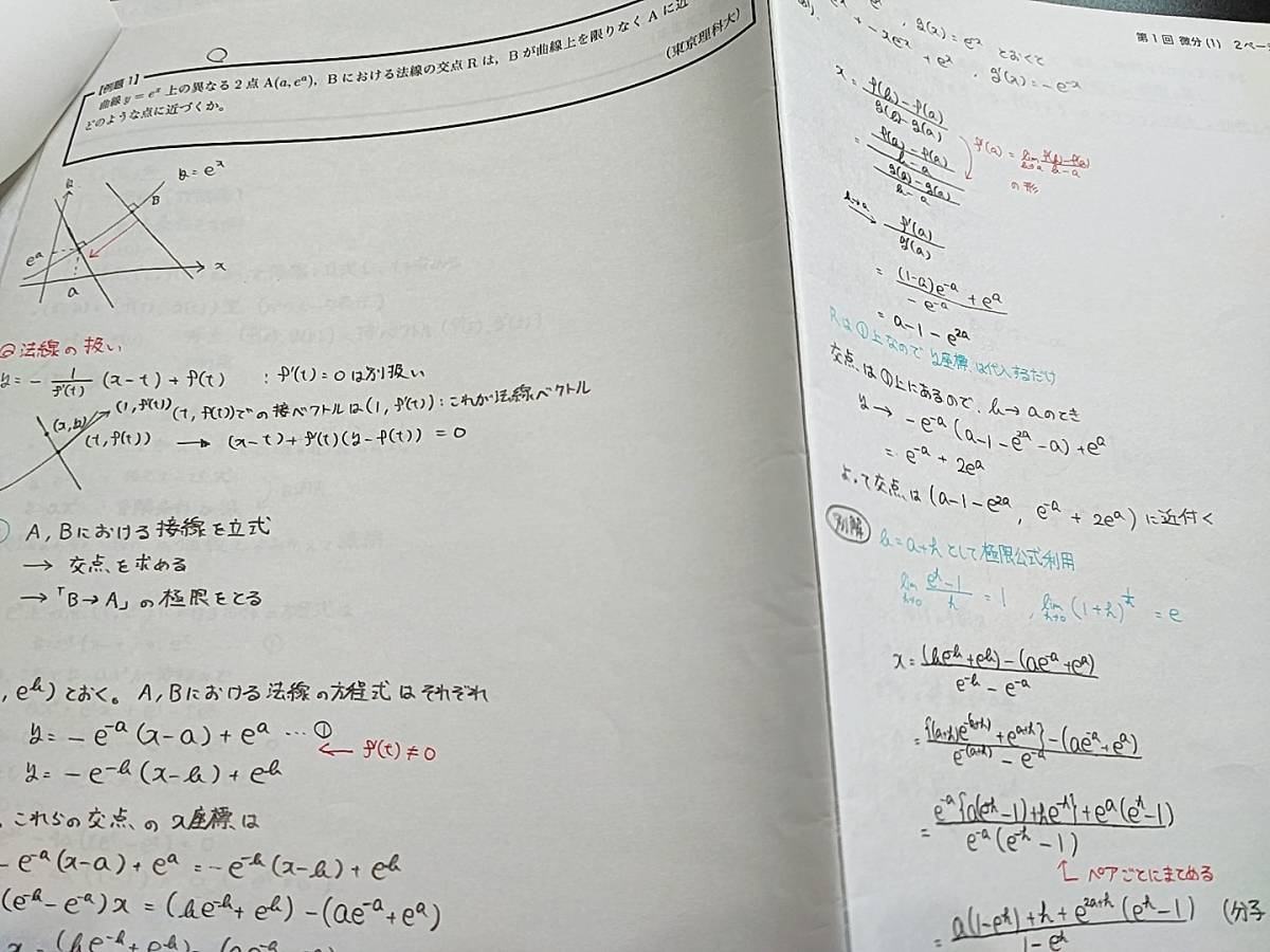 鉄緑会 数学実戦講座Ⅲ 授業プリントの全セット 亀井先生 上位クラス