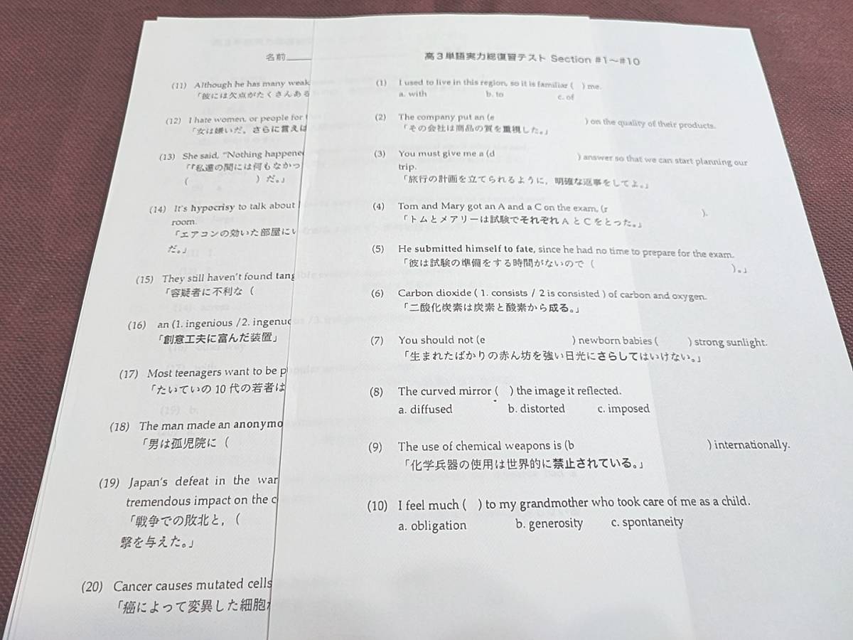 鉄緑会　高3英語　高3単語実力総復習テスト1～50セクション　全セット　河合塾　駿台　鉄緑会　Z会　東進　SEG_画像2