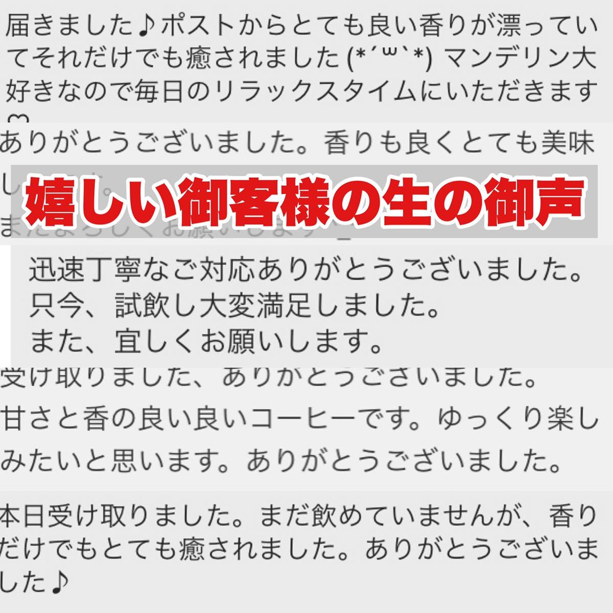 Candy Coffee アマレロブルボン ブラジル はちみつ　春花　自家焙煎 コーヒー豆 甘み コーヒー　珈琲豆 珈琲　スペシャル