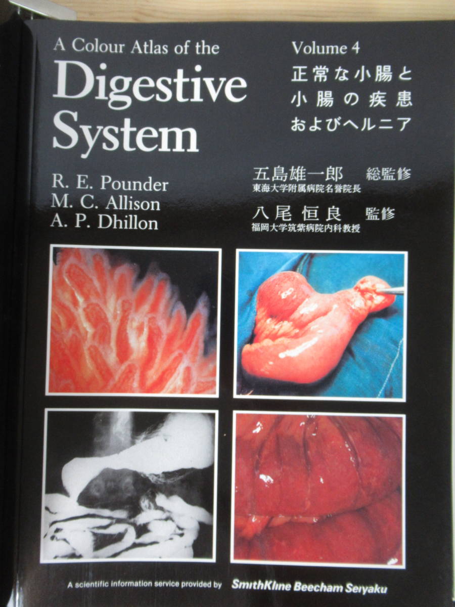 s04●A Colur Atlas of the Digestive System 日本語版 1-6巻不揃セット 五島雄一郎 出月康夫 バインダー 医学書 消化器系 正常胃 220706_画像7