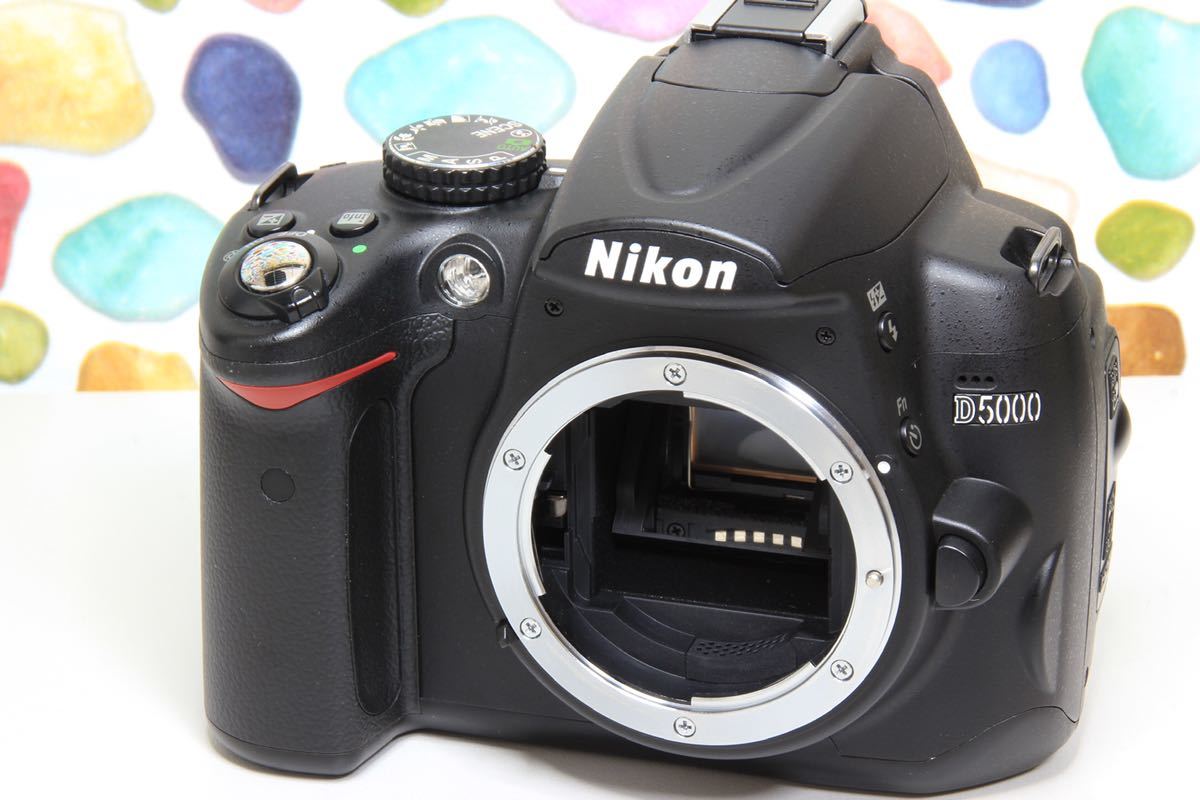 ◇Nikon ニコン D5000 ☆自撮り& Wi-Fi ☆迷ったらこのカメラ