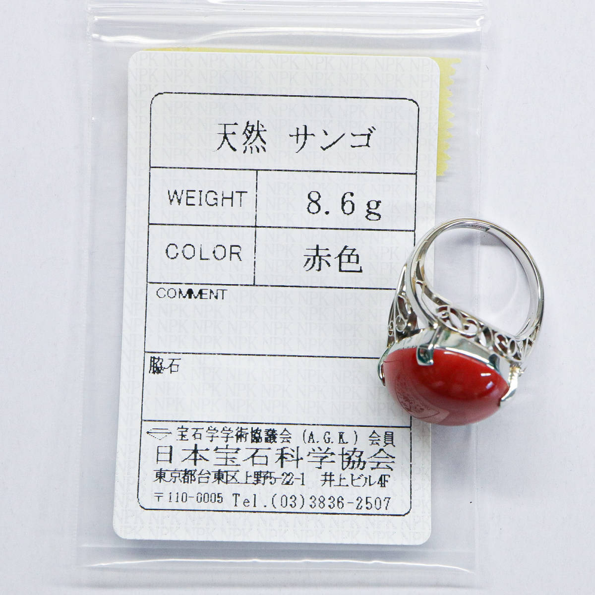 ジュエリー】天然珊瑚 Pt900 指輪 赤珊瑚 サンゴ 9号 プラチナ さんご