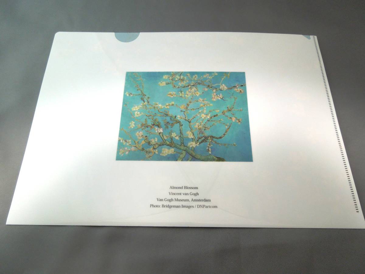 美術館グッズ　A4版クリアファイル　アーモンドの花咲く枝（ゴッホ）_画像2