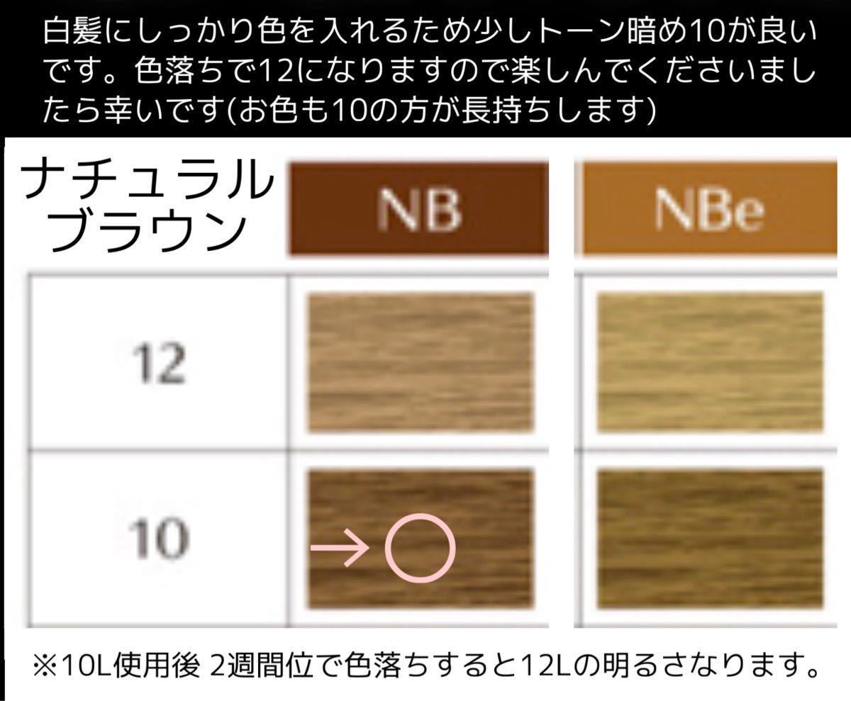 資生堂 プリミエンス ヘアカラー 白髪染め【イルミナカラー アディクシー ブリーチ剤 オキシ同梱割有】10ブラウン 2本明るい