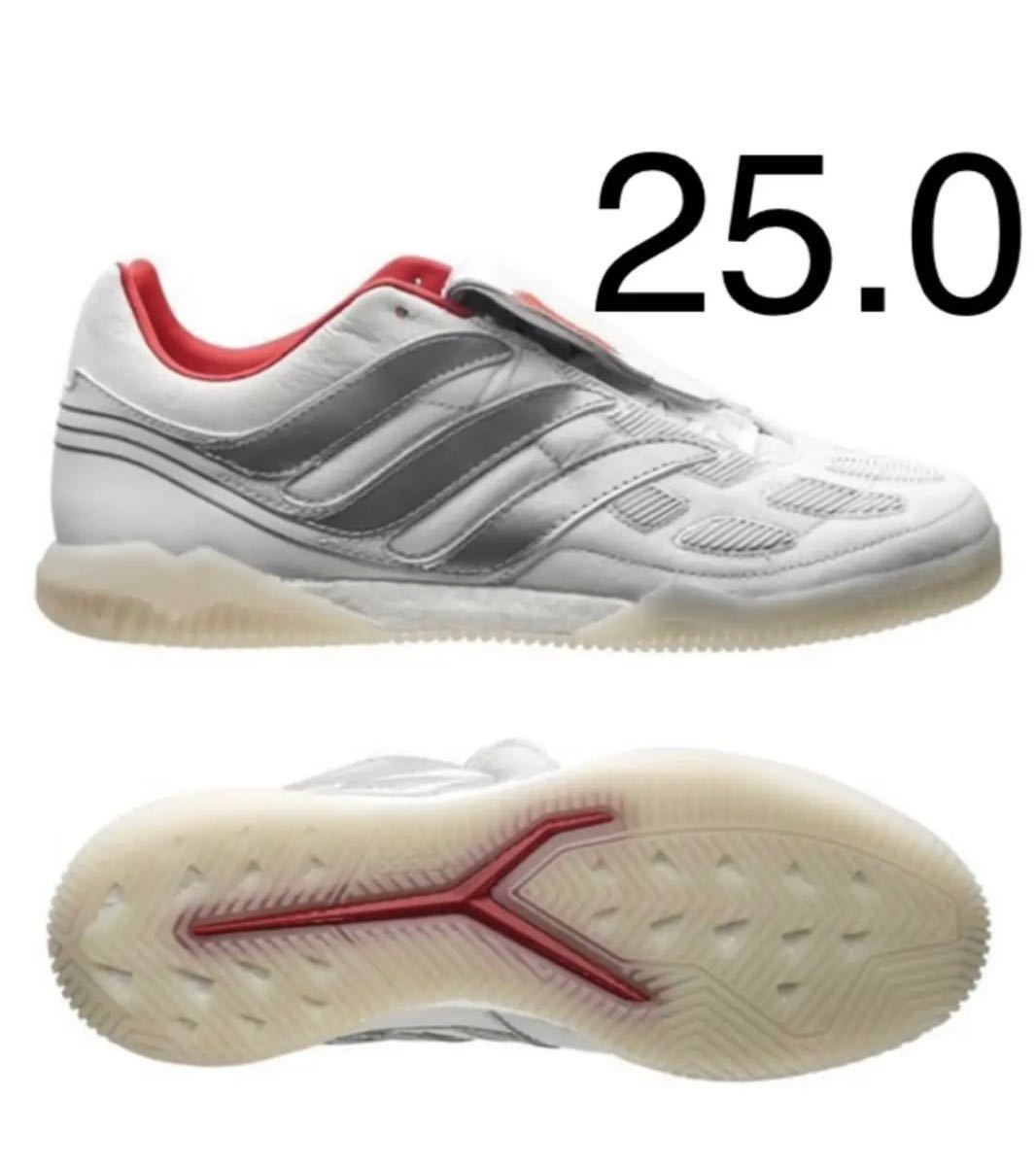 ☆未使用品 25.0cm アディダス プレデター プレシジョン TR ADIDAS PREDATOR PRECISION TR DB シャビ - fundacionatenea.org