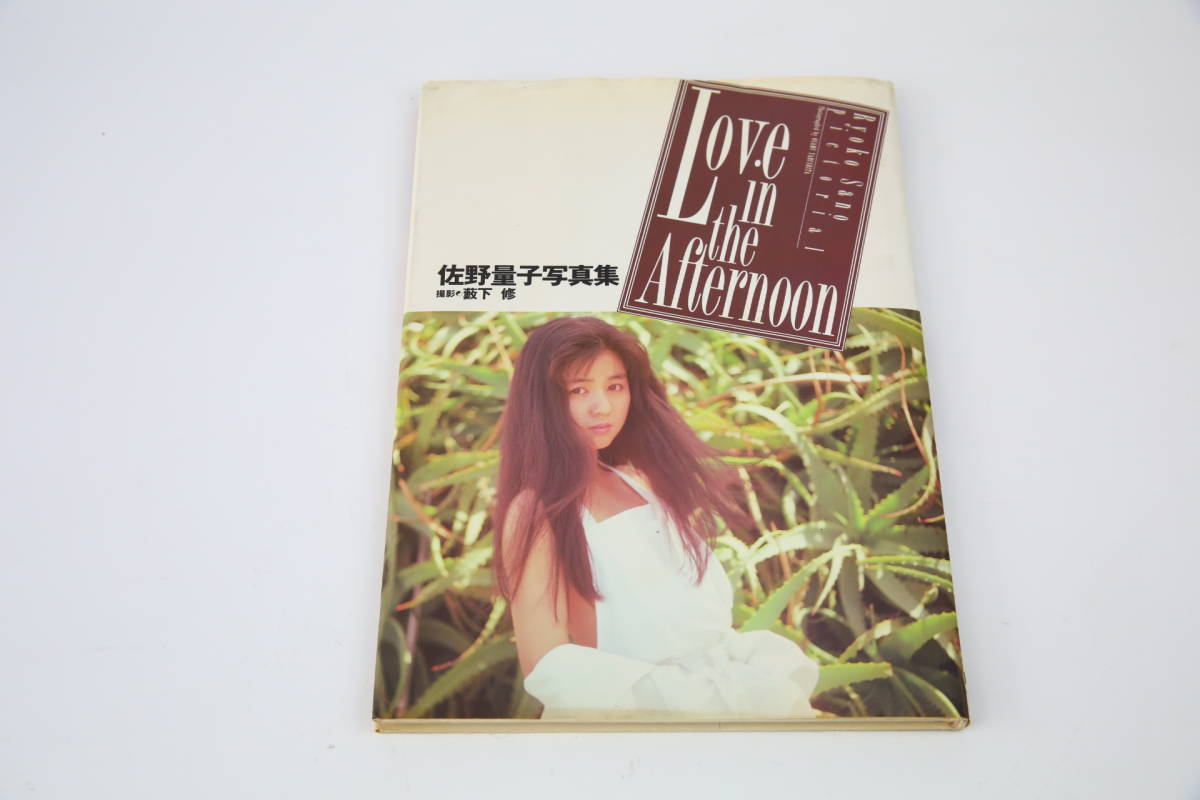【69%OFF!】 佐野量子 写真集 Love in the Afternoon 中古 アート写真 tierrasaltas.com.ar
