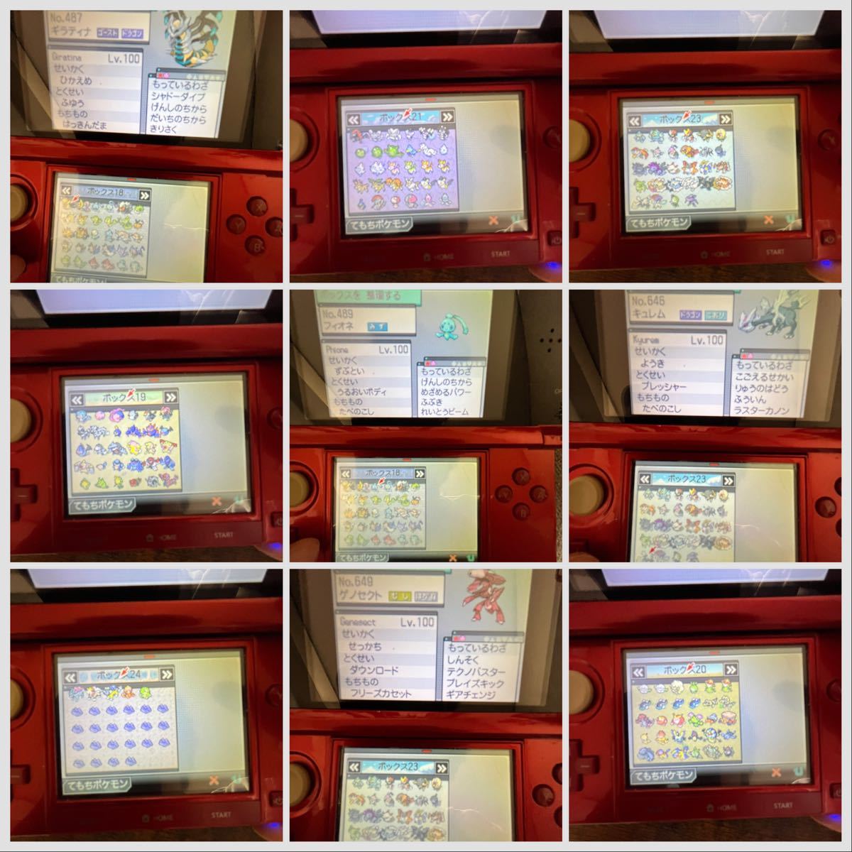 Paypayフリマ ポケットモンスターブラック 色違い 配布 ポケモン Paypayフリマ ポケットモンスターブラック 色違い 配布 ポケモン