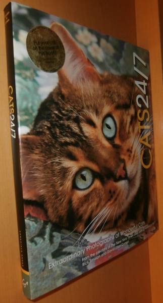  foreign book cat photoalbum Cats 24/7 Extraordinary Photographs of Wonderful Cats. cat / cat / cat /..