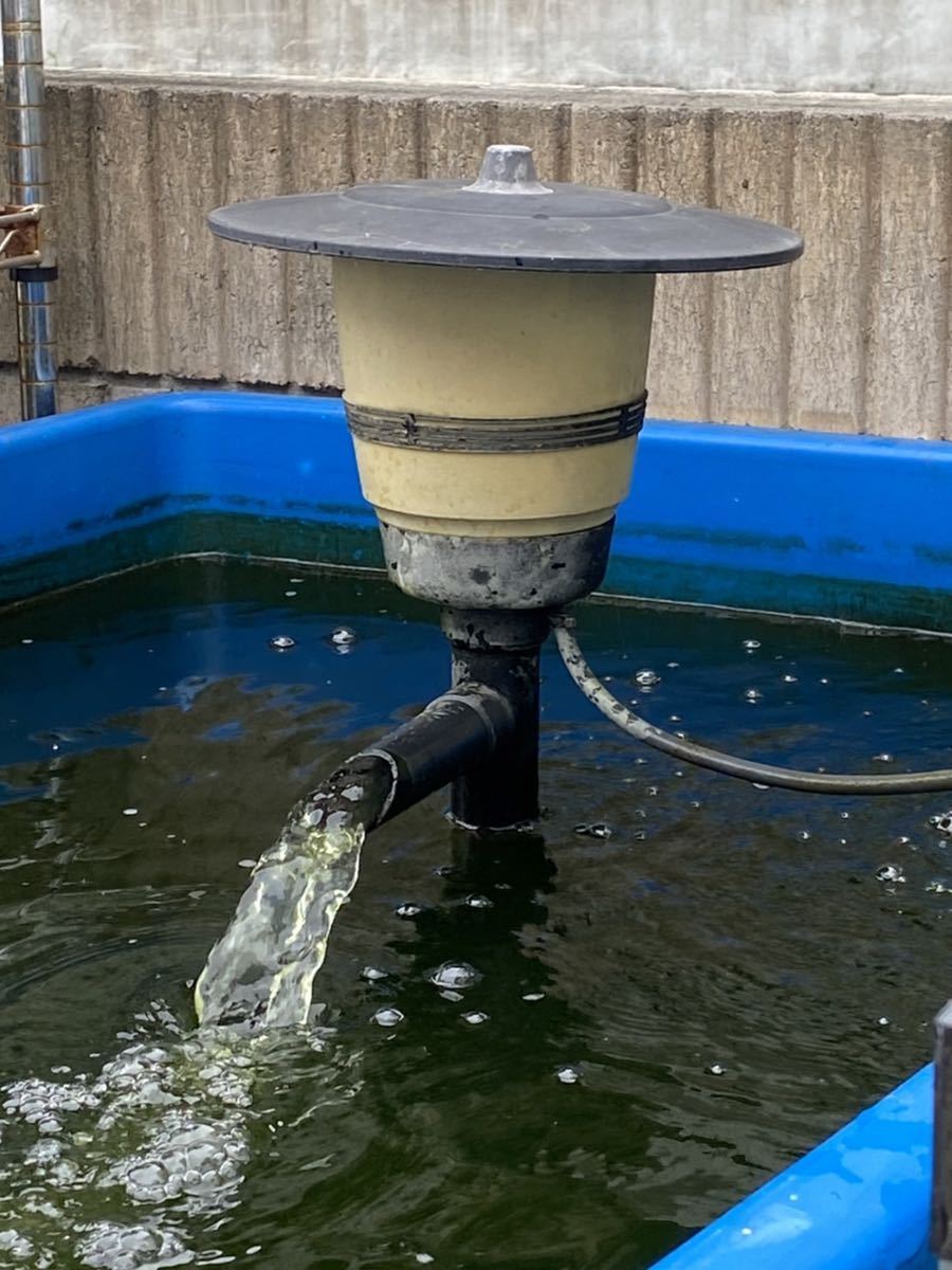 タカラ工業 池ポンプ ウォータークリーナー 渓流R TW-561 庭 循環