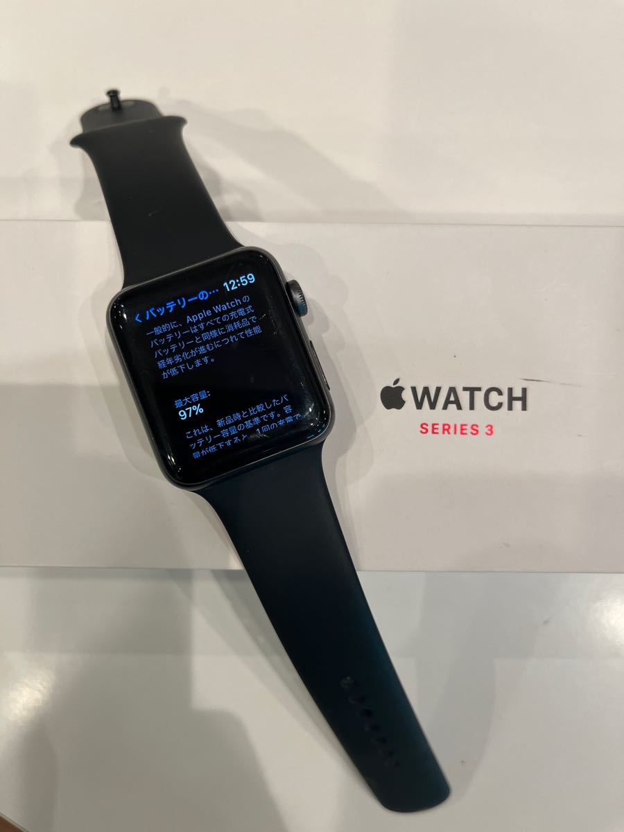 Apple Watch Series3 スペースグレー42mmセルラー | smsgolubovci.me