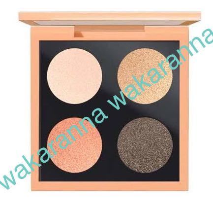  new goods Mac MAC limitation ba Eve to Live small eyeshadow x4 call ob The Canyon I color Palette orange Brown unopened 