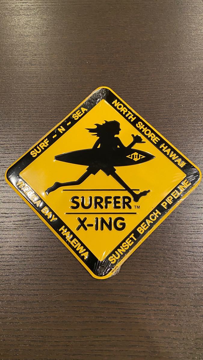 く日はお得♪ サーフアンドシーSURF-N-SEA SURFER X-INGプレート 大サイズ