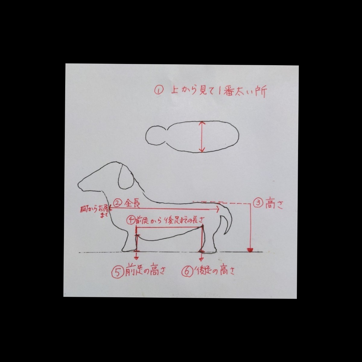 トイプードル用4輪歩行器!リハビリ!食事補助!犬の歩行器!介護用!犬の車椅子! 未使用の新品です トイプー4輪歩行器!リハビリ!食事補助!犬の歩行器!介護!犬の車椅子! 犬用品