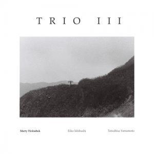 新品 LP MARTY HOLOUBEK / TRIO III 検) 石橋英子 アンビエント Chill Jazz ピアノ 空間音楽 Abstract elactronica ジャズ Smoke_画像1