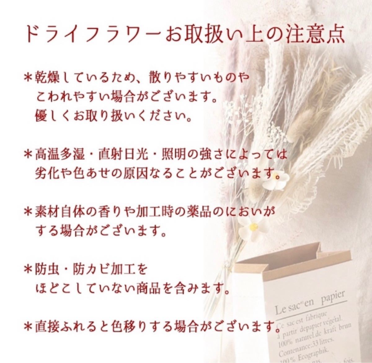 ブラウン系新品登場 週末sale ドライフラワーガーランド 27 フラワー ガーデン 日用品 インテリアブラウン系 515 999 Www Lansflowerfarm Com ブラウン系新品登場 週末sale ドライフラワーガーランド 27 フラワー ガーデン 日用品 インテリアブラウン系 515 999 Www Lansflowerfarm Com