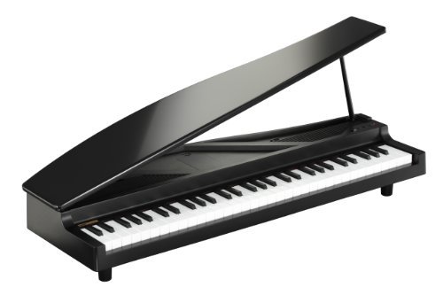 KORG MICROPIANO マイクロピアノ ミニ鍵盤61鍵 ブラック 61曲の
