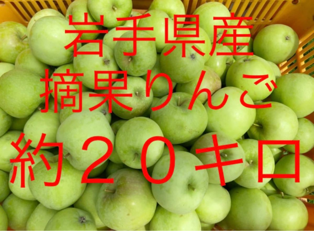 りんご山形県産つがる6㎏㉓