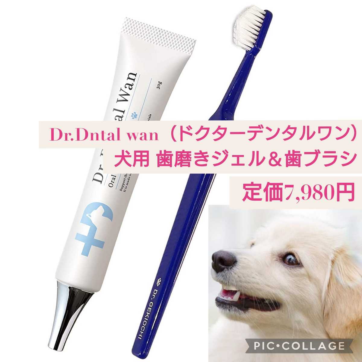 ドクターデンタルワン 犬 歯磨き - その他