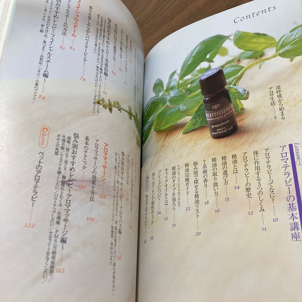 最新デザインの 高條宰鳳 現代を生きる占いの知恵 現代を生きる占いの