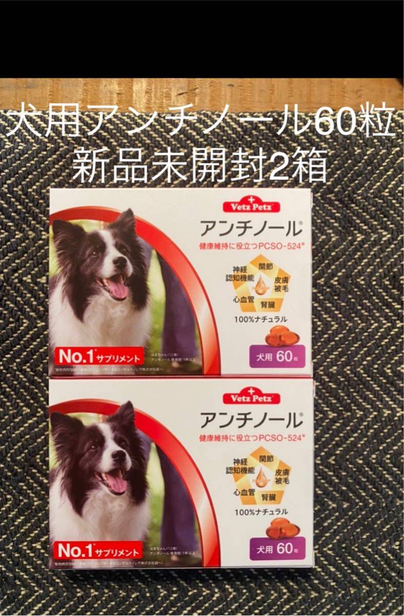 犬用アンチノール60粒入り新品未開封2箱 www.nickstellino.com