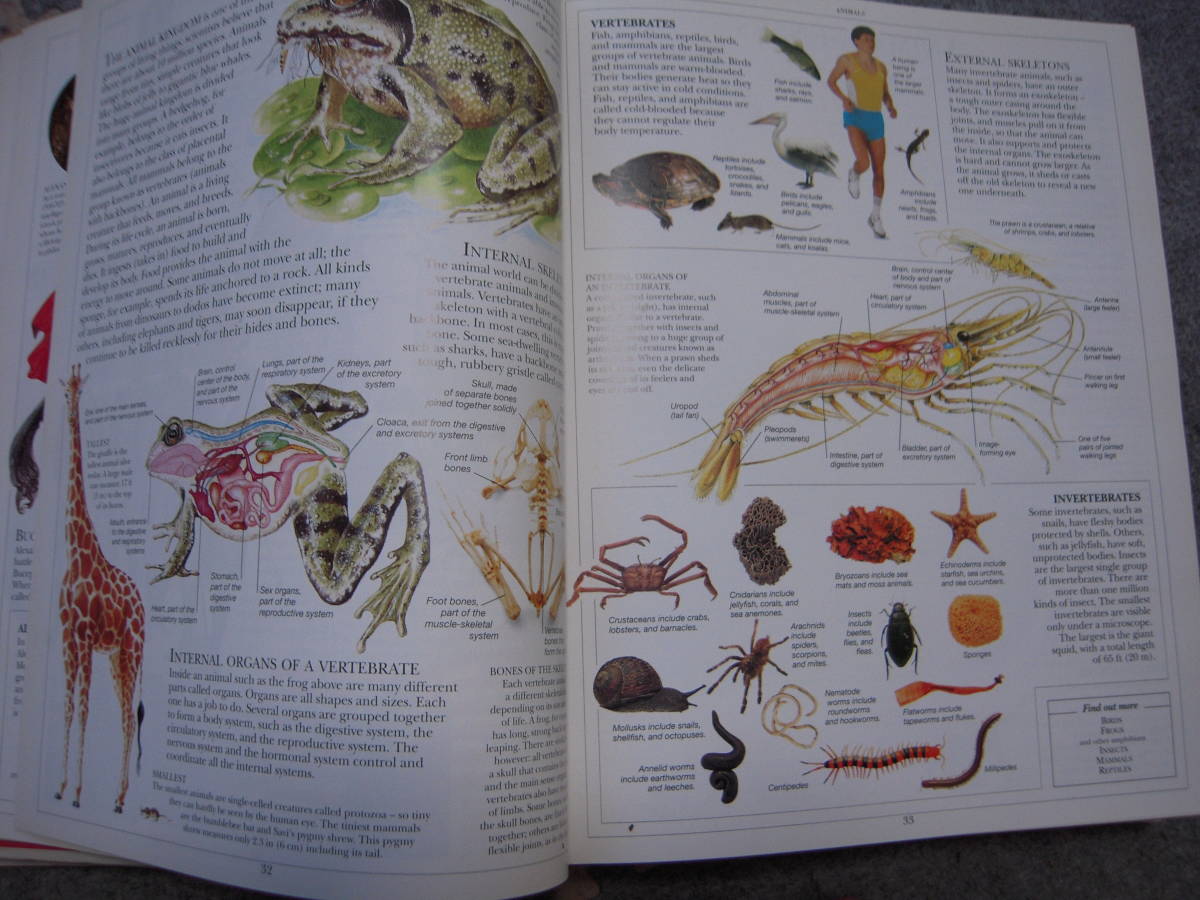 子供用に編集された百科事典 英語版  DK社版の画像3