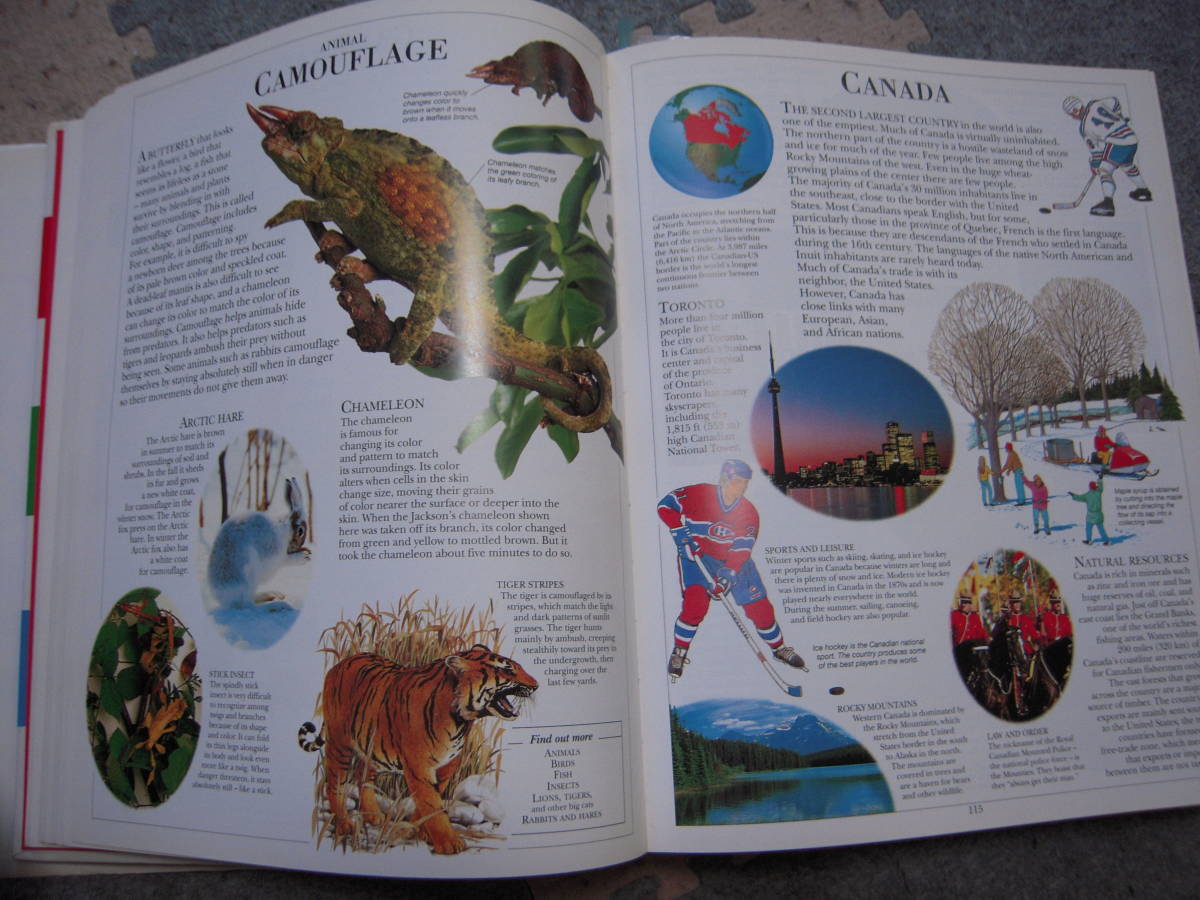 子供用に編集された百科事典 英語版  DK社版の画像4