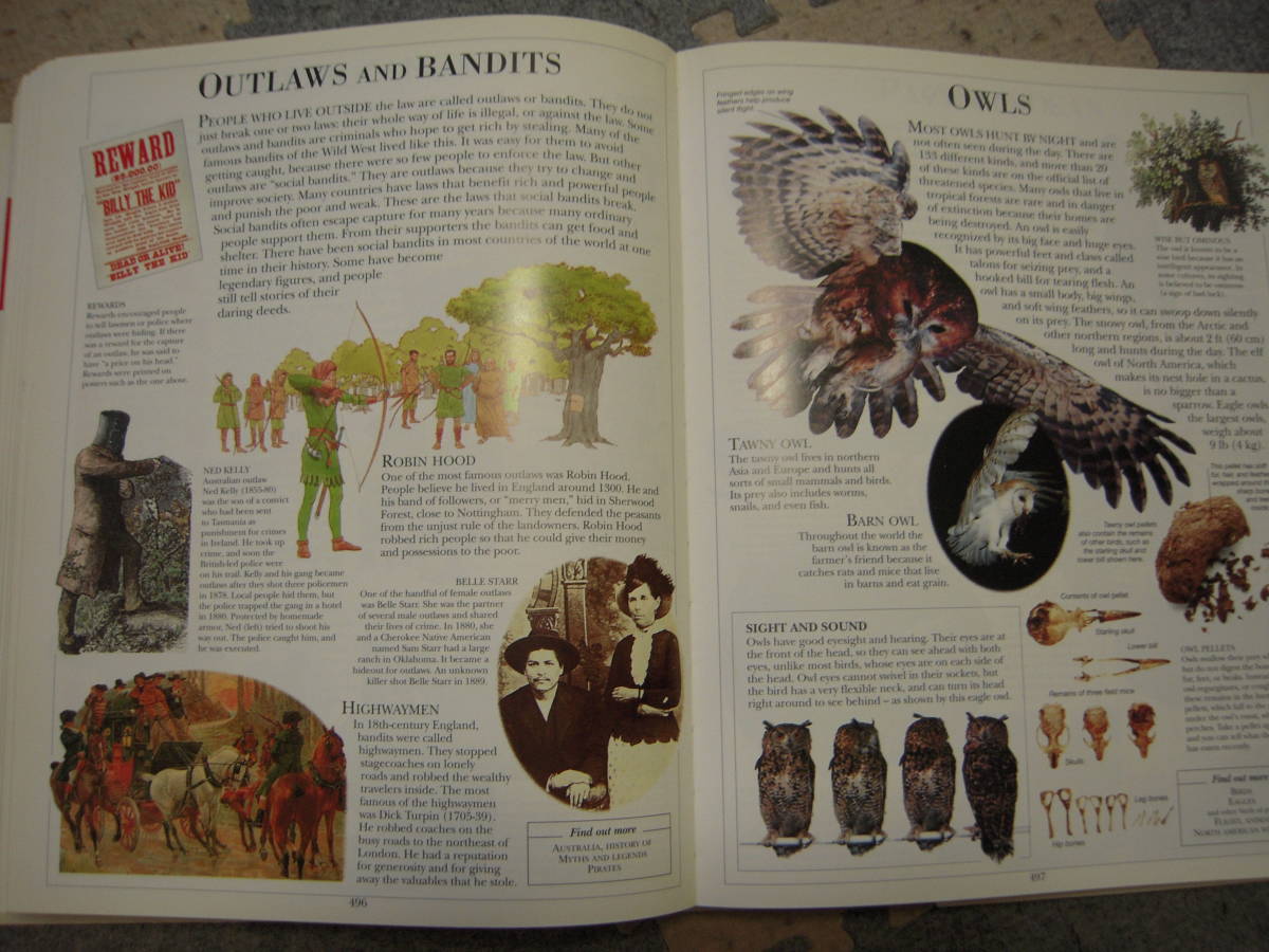 子供用に編集された百科事典 英語版  DK社版の画像6