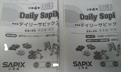 時間指定不可】 サピックス ＳＡＰＩＸ＊デイリーサピックス＊４年