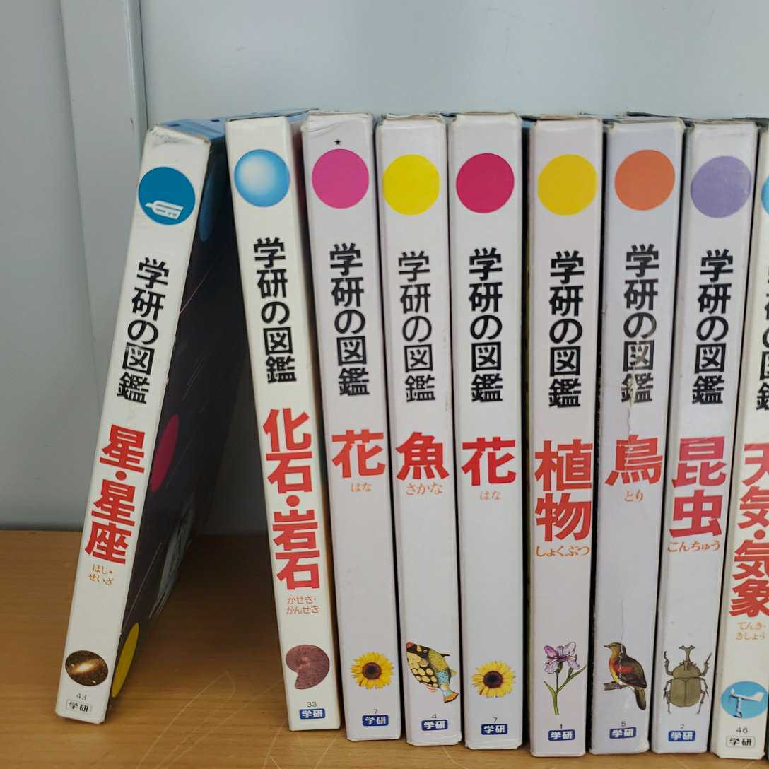 学研の図鑑 11冊 セット ( 動物 植物 昆虫 鳥 星座 化石 魚　地球 観察)　まとめて　当時物　資料　図鑑_画像3