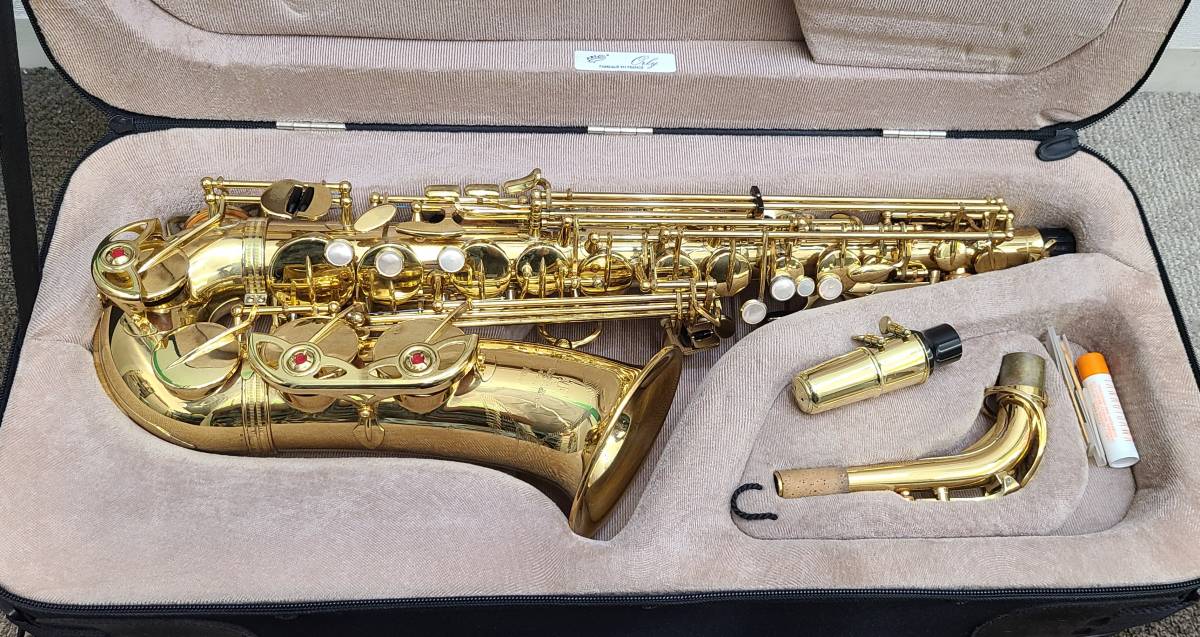 YANAGISAWA Prima 900μ ケース付 アルトサックス サックス - 通販