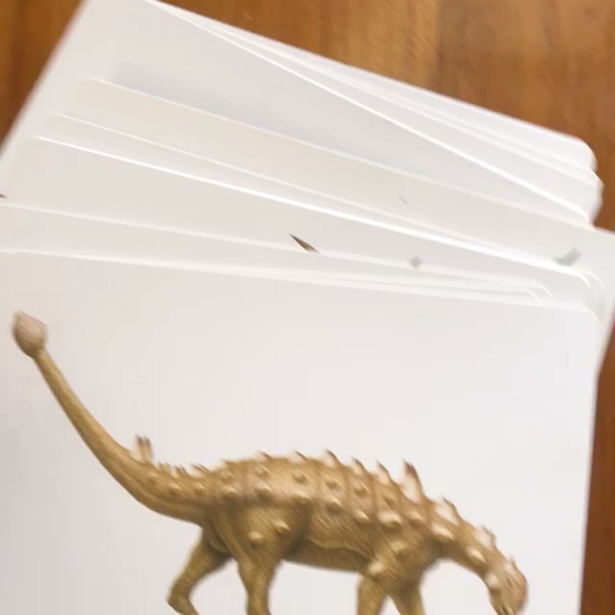 恐竜カード 幼児から/子供/絵本