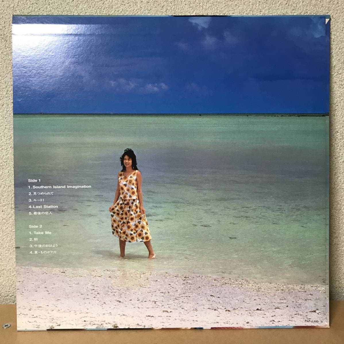 【お気に入り】 筒井のり子 Southern Island Imagination レコード
