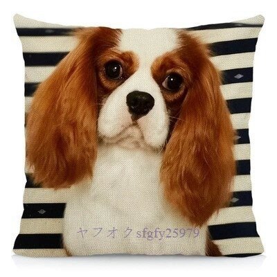 item_image_10