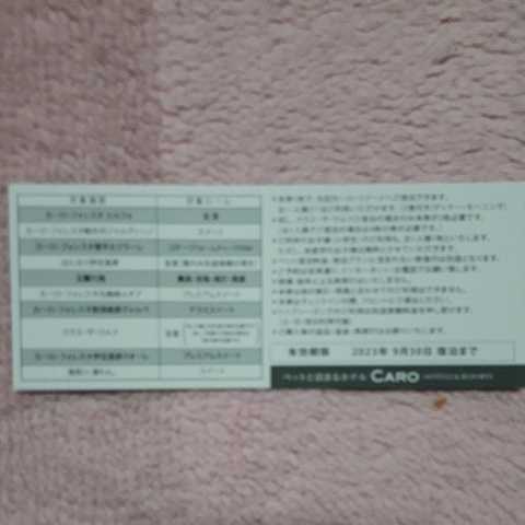○カーロフォレスタ 全日対応宿泊券 2枚 パープルチケット ペット同伴