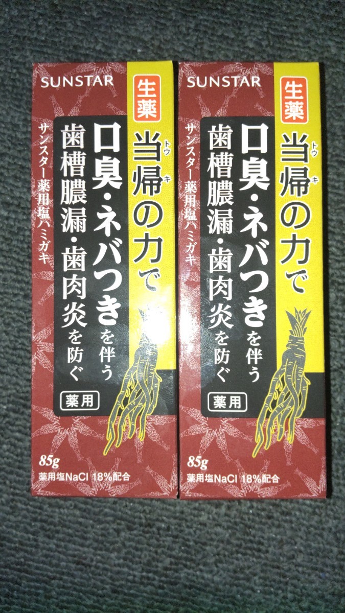 SALE/80%OFF】 サンスター 薬用塩ハミガキ 当帰の力で 85g×2 econet.bi