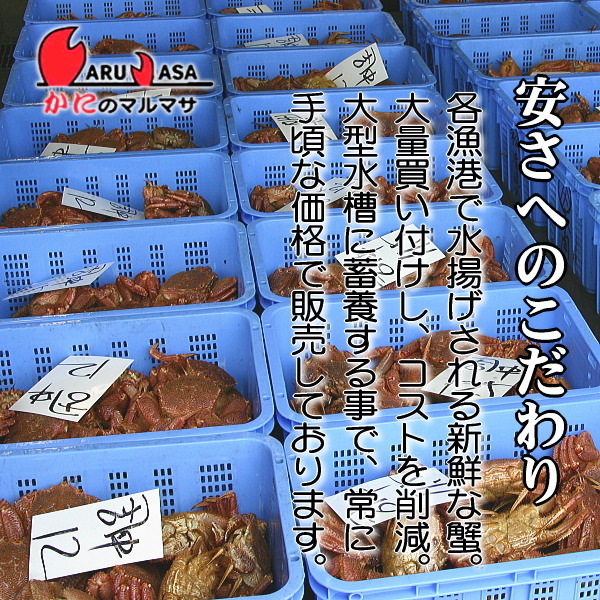 【かにのマルマサ】活蟹専門店 北海道産 活毛ガニ400g 2尾セット_画像4