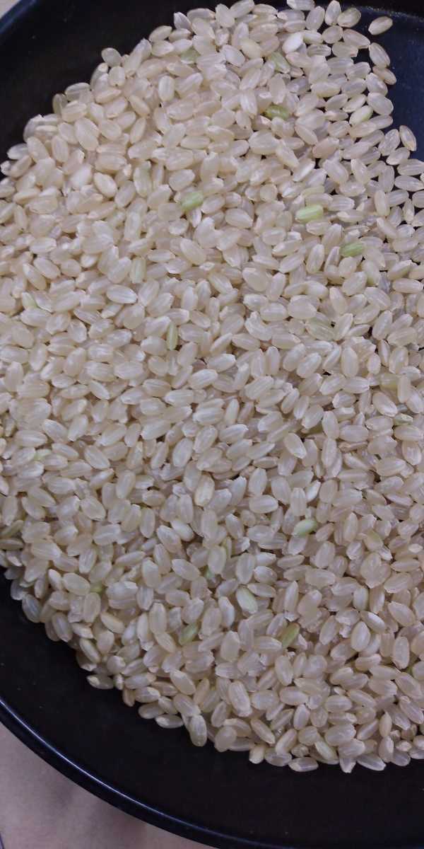 コシヒカリ　玄米　３０kg 品質保証米_画像2