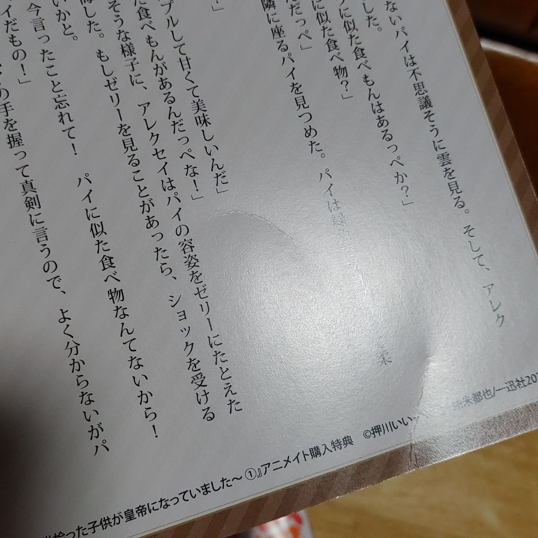 無口な公爵令嬢と冷徹な皇帝　前世拾った子供が皇帝になっていました