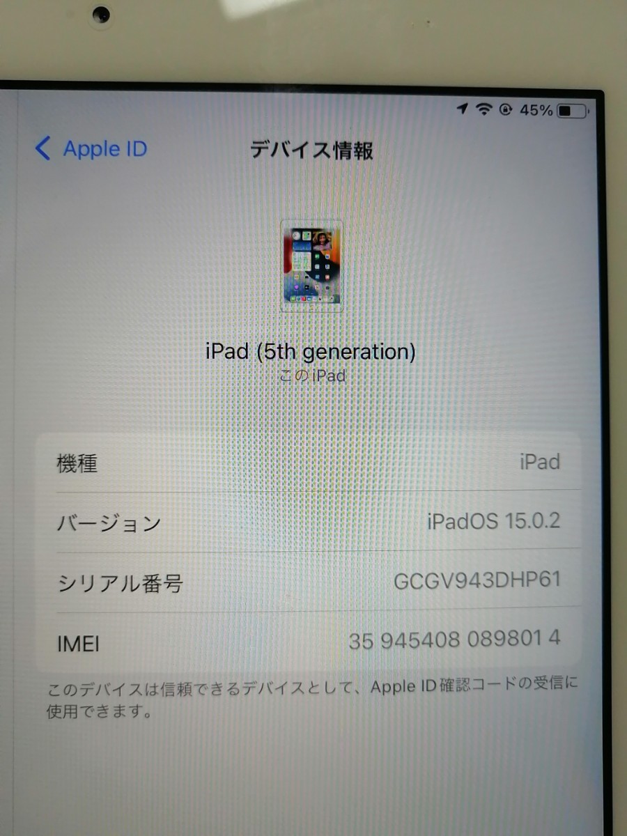 Apple iPad 第5世代 docomo 32GB | contifarma.pe