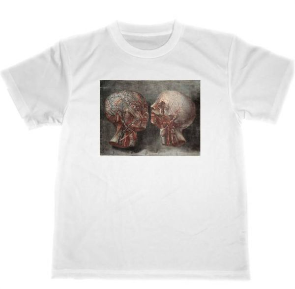 ジャック・ファビアン・ゴーティエ・ダゴティ　5　ドライ　Tシャツ　　名画　絵画　グッズ　人体図　解剖図_画像1