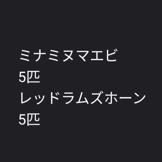 ミナミヌマエビ　5匹　レッドラムズホーン　5匹　水草_画像1