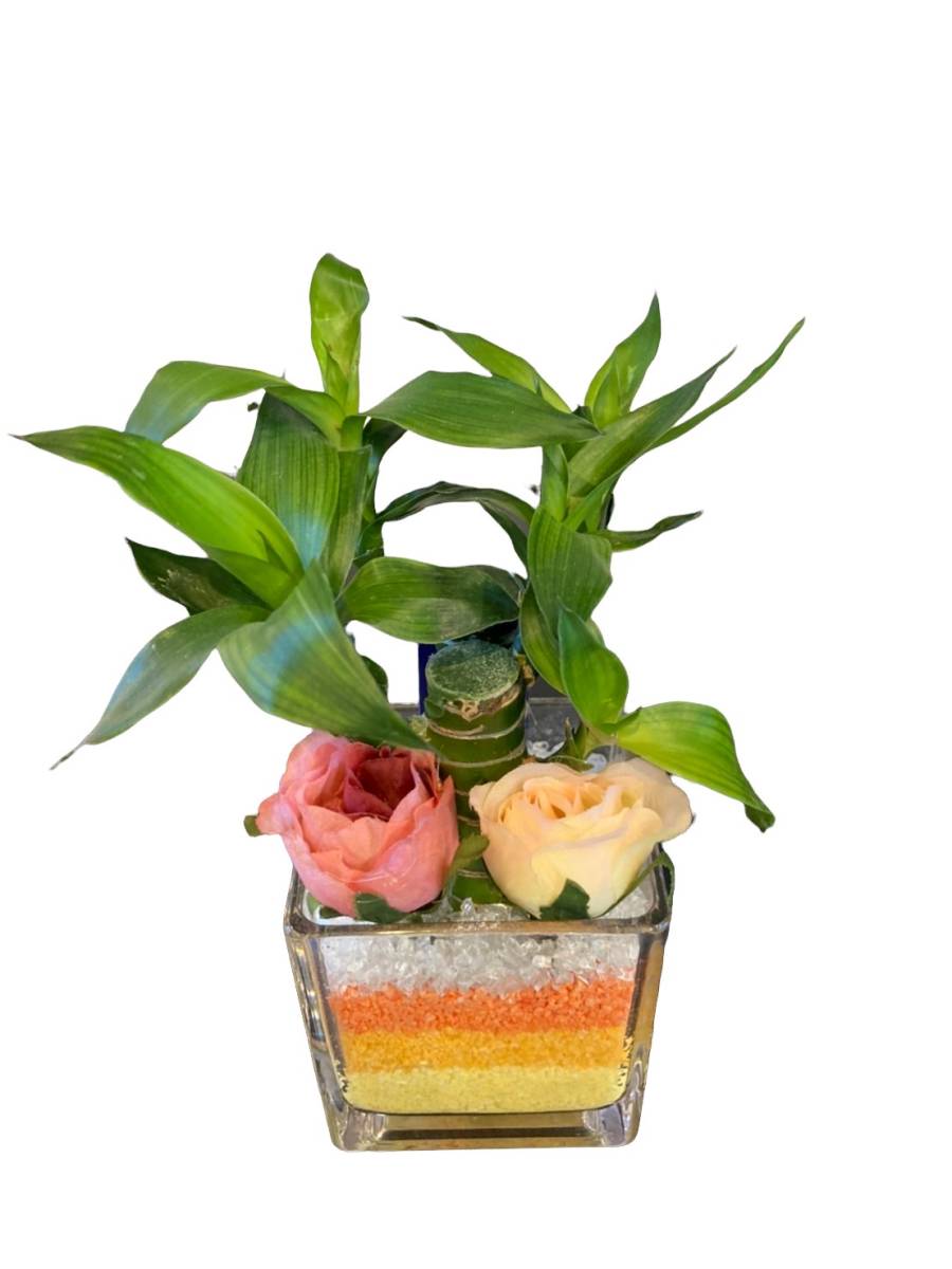 【送料無料】キングバンブー（造花付き）カラーサンド　ミニ観葉植物　ギフト　贈り物　インテリア　開店祝い　新築祝い　インドアプランツ