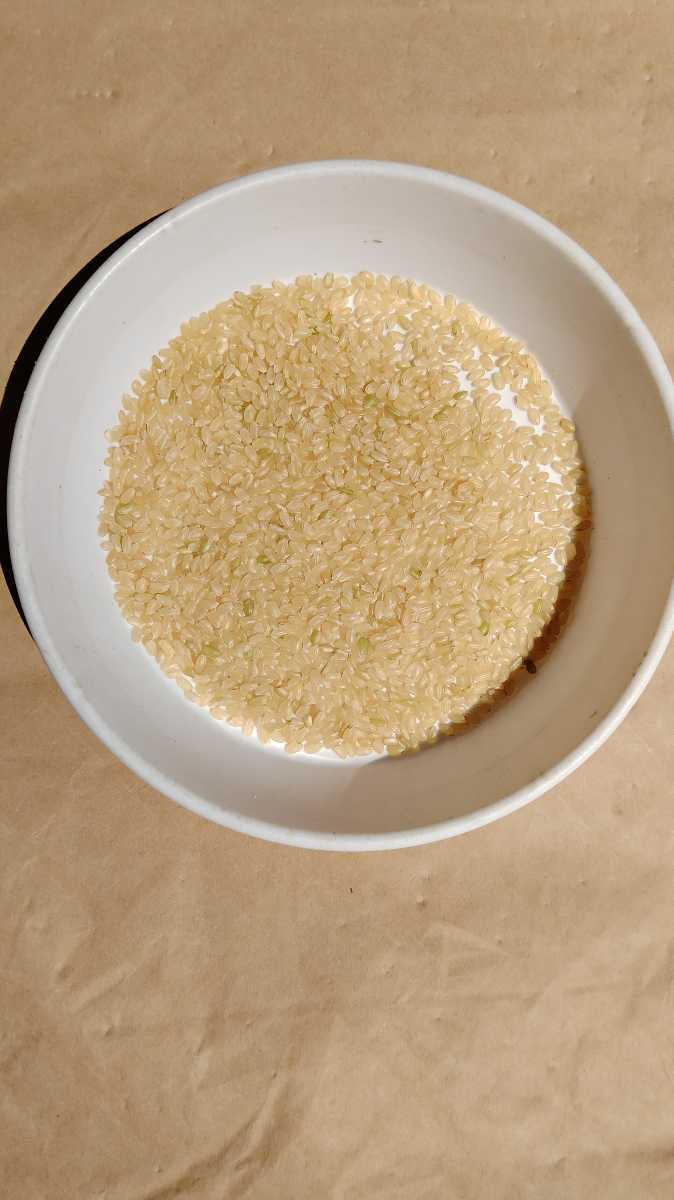 食味抜群!！大粒米　令和3年宮城県100%ひとめぼれ　玄米約24kg 送料無料_画像2