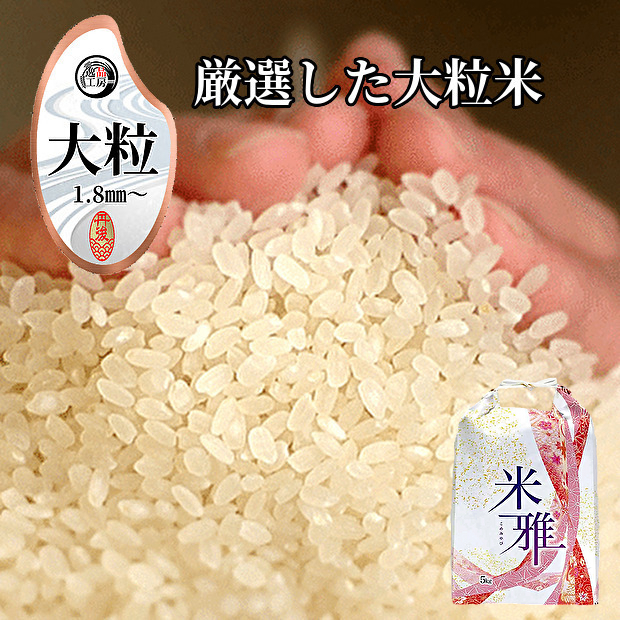1【低農薬/有機肥料】令和3年新米、特別なこしひかり、美味しいお米