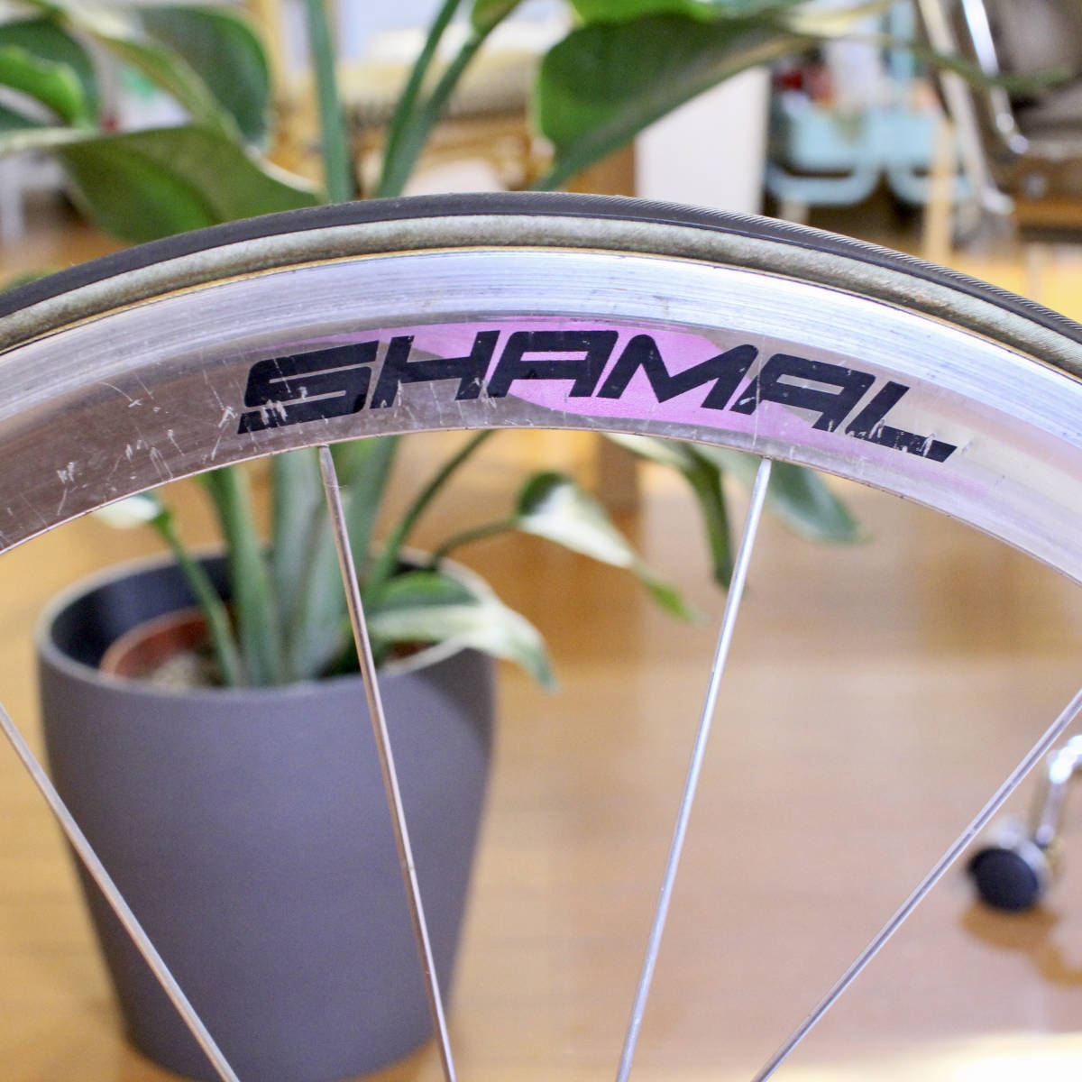 レア 650C Campagnolo カンパニョーロ SHAMAL シャマル フロントホイール　ファニー　パシュート_画像7