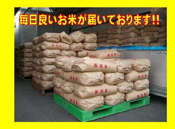 令和３年産 新潟県産 コシヒカリ 玄米30kg うまい米 米専門 みのりや ポイント消化 送料無料_画像3